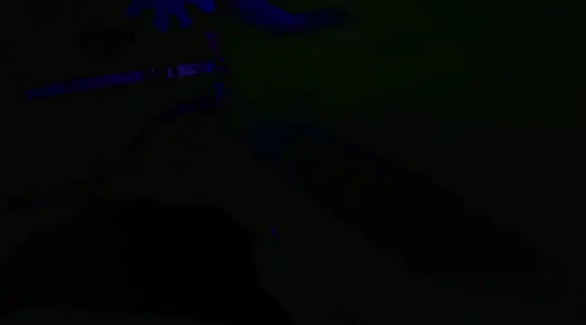 watermellonpussy online show from 01/29/25, 03:54