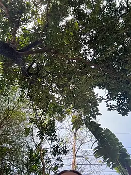 Snapshot of JessiMur chatting on 02/11/26, 03:44 JessiMur online show from 02/11/26, 03:44