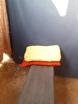 Burhade-- online show from 10/12/25, 11:31