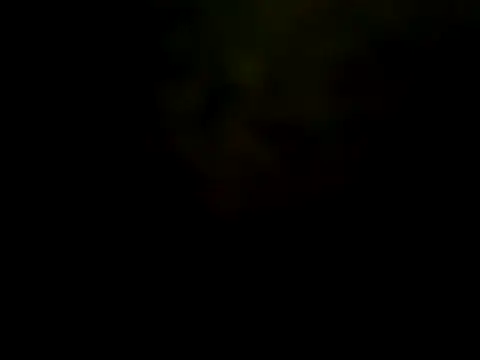 pinnklinkk online show from 01/19/25, 08:29