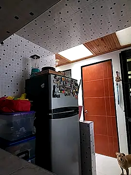 Snapshot of Mariam_Gomezxxx chatting on 10/06/25, 03:53 Mariam Gomezxxx online show from 10/06/25, 03:53