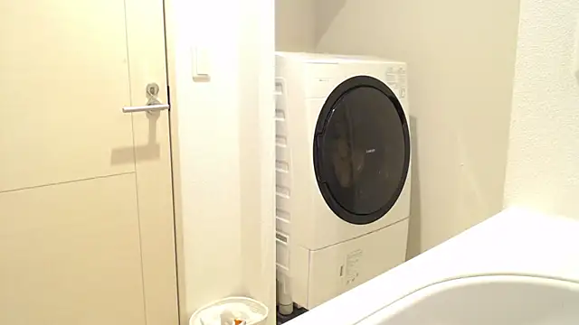 Kakushi dori online show from 12/16/24, 05:00