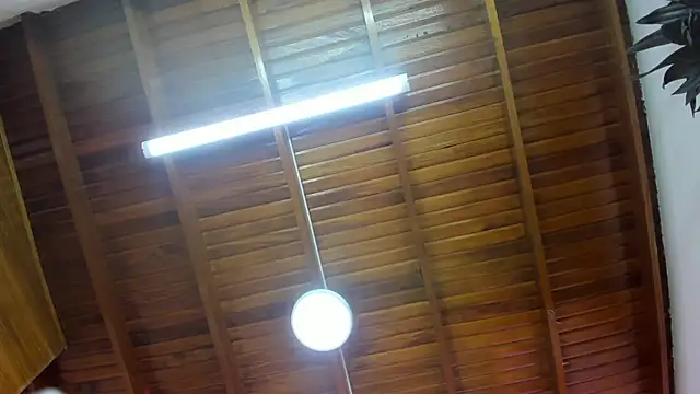 Levy Steve online show from 11/26/25, 06:36