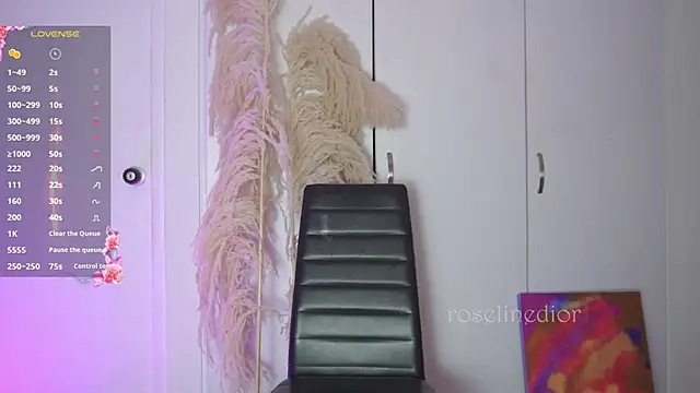 roselinedior online show from 11/12/25, 11:47