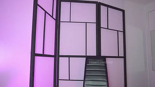 roselinedior online show from 02/25/26, 02:05