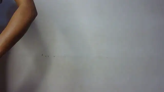 seema raani online show from 01/24/25, 03:34