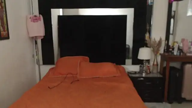 Snapshot of CATRINA-83 chatting on 11/04/25, 11:37 CATRINA-83 online show from 11/04/25, 11:37