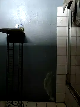 Snapshot of kamasutra20 chatting on 09/29/25, 06:02 kamasutra20 online show from 09/29/25, 06:02