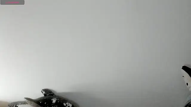 queen fetish online show from 01/08/26, 02:30