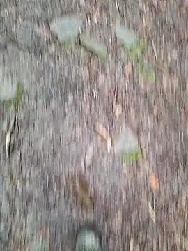 Snapshot of FreezingTie850 chatting on 03/10/26, 02:33 FreezingTie850 online show from 03/10/26, 02:33