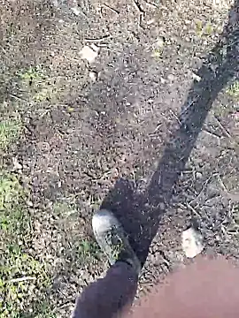 Snapshot of FreezingTie850 chatting on 03/11/26, 03:07 FreezingTie850 online show from 03/11/26, 03:07