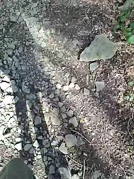 Snapshot of FreezingTie850 chatting on 04/06/26, 10:16 FreezingTie850 online show from 04/06/26, 10:16