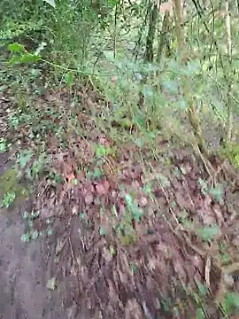 Snapshot of FreezingTie850 chatting on 04/14/26, 10:10 FreezingTie850 online show from 04/14/26, 10:10