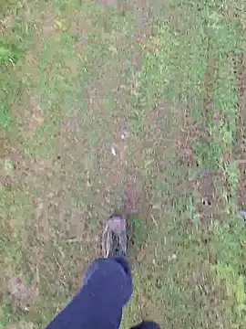 Snapshot of FreezingTie850 chatting on 04/16/26, 07:53 FreezingTie850 online show from 04/16/26, 07:53