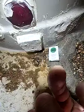 cdressupdiva online show from 01/20/25, 03:50