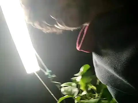 Snapshot of LongDickZee562 chatting on 01/31/25, 06:02 LongDickZee562 online show from 01/31/25, 06:02