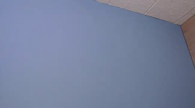 Lilly macflyy online show from 12/18/24, 08:03