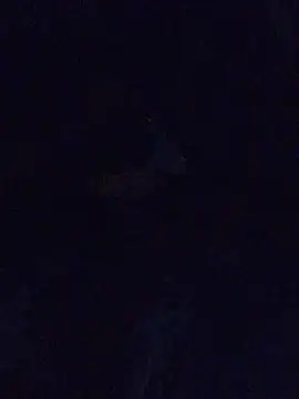 Snapshot of MrDickUdown24_7 chatting on 02/23/25, 06:39 MrDickUdown24 7 online show from 02/23/25, 06:39