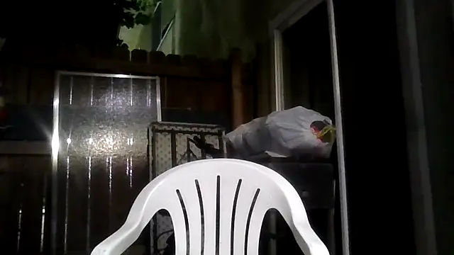 MrDickUdown24 7 online show from 02/09/26, 04:05