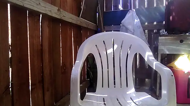 MrDickUdown24 7 online show from 03/05/26, 06:48