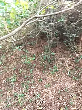 HathodaTyagi123 online show from 12/08/24, 07:37