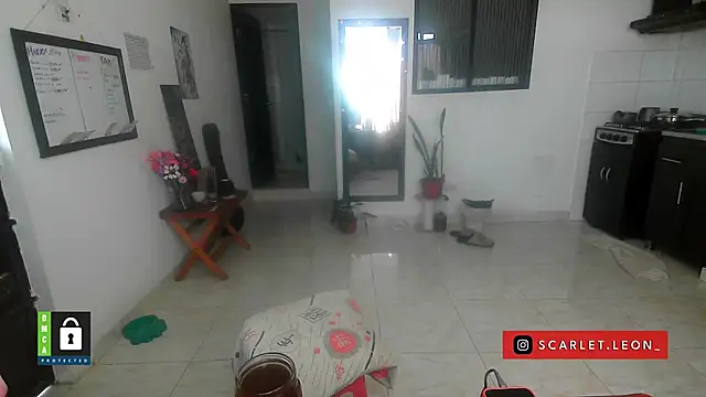 Snapshot of Scarletleon77 chatting on 04/08/26, 04:07 Scarletleon77 online show from 04/08/26, 04:07