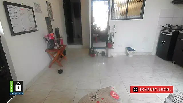 Snapshot of Scarletleon77 chatting on 04/16/26, 02:07 Scarletleon77 online show from 04/16/26, 02:07