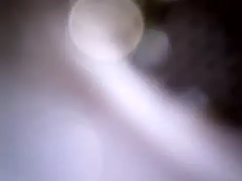 Snapshot of Beijing2000 chatting on 01/14/25, 04:04 Beijing2000 online show from 01/14/25, 04:04