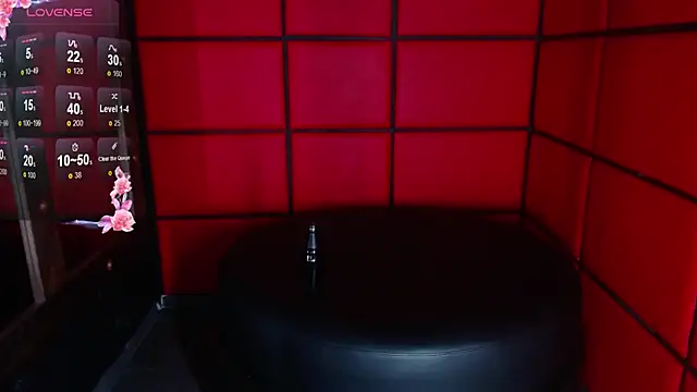 Snapshot of ElianFoxter chatting on 12/30/24, 11:28 ElianFoxter online show from 12/30/24, 11:28