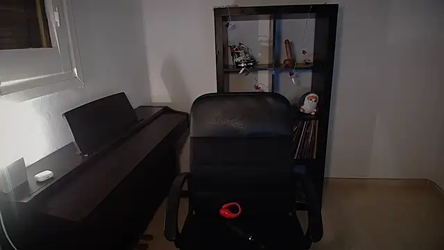 Windy butterfly online show from 11/07/25, 05:35