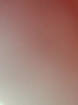 zhenzhen521 online show from 02/22/26, 02:59