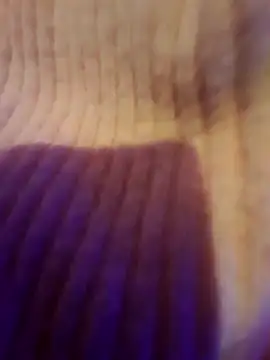 Snapshot of AsStraightAsARuler chatting on 12/03/25, 05:04 AsStraightAsARuler online show from 12/03/25, 05:04