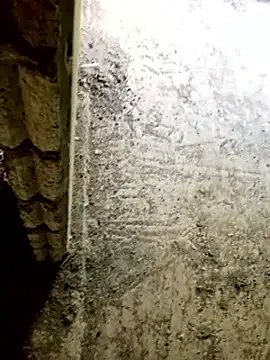 Snapshot of DulajThushara2468 chatting on 03/13/26, 03:24 DulajThushara2468 online show from 03/13/26, 03:24