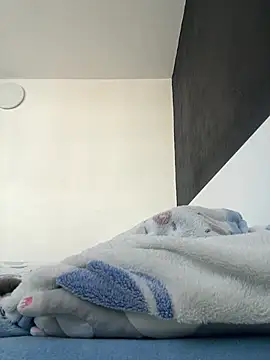 Snapshot of MikyVesela chatting on 04/06/26, 07:53 MikyVesela online show from 04/06/26, 07:53