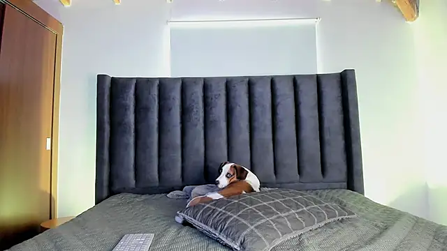 paulina soto online show from 11/16/25, 06:46