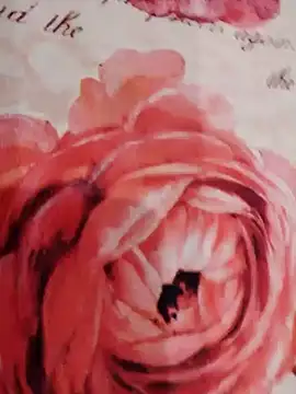 xxcatwomanxx online show from 01/31/25, 06:03