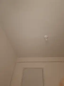 wedge75 online show from 03/10/26, 05:51