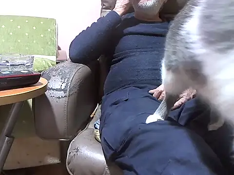 zormen355 online show from 04/07/26, 06:30