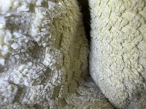 Amarok39 online show from 02/13/25, 12:54