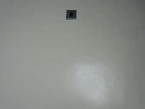 Rasta tattooed online show from 12/19/25, 02:18