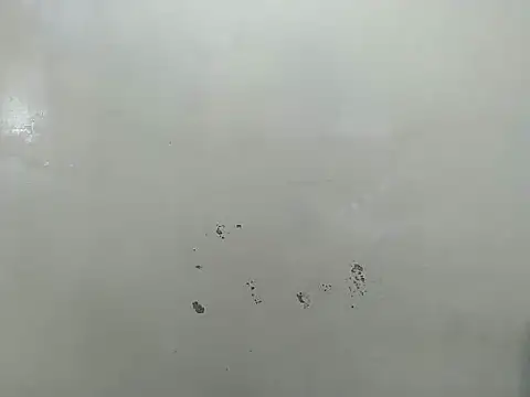 Rasta tattooed online show from 03/19/26, 06:17