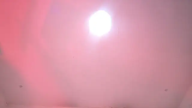 amber demons2021 online show from 11/27/25, 10:56