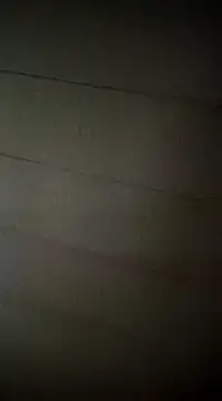 poussychats online show from 02/16/25, 05:04