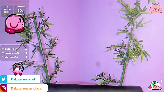 DakotaRosee online show from 02/17/25, 05:25