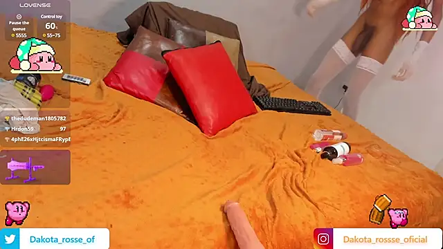 DakotaRosee online show from 02/21/25, 09:13