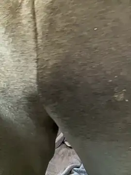 Snapshot of Enos3 chatting on 04/16/26, 11:55 Enos3 online show from 04/16/26, 11:55