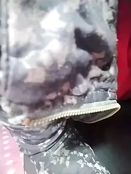 Dangky1 online show from 02/03/25, 04:25