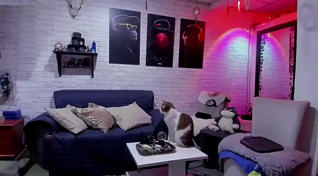 Snapshot of Kimmymadison- chatting on 12/26/24, 11:13 Kimmymadison- online show from 12/26/24, 11:13