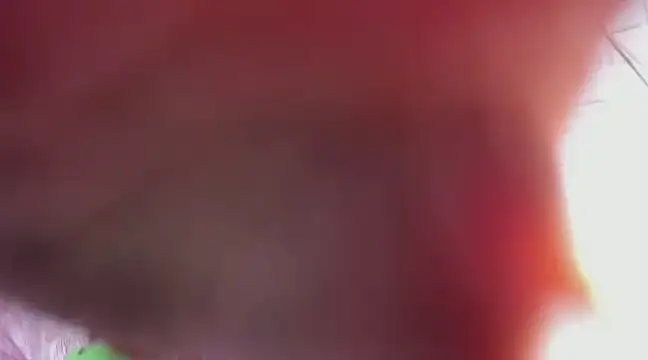 Snapshot of Kimmymadison- chatting on 03/09/25, 06:39 Kimmymadison- online show from 03/09/25, 06:39