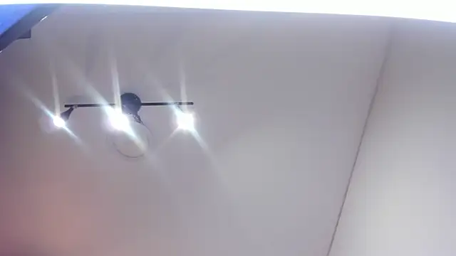 ANTONELLA  ROUSE  online show from 01/10/25, 08:15